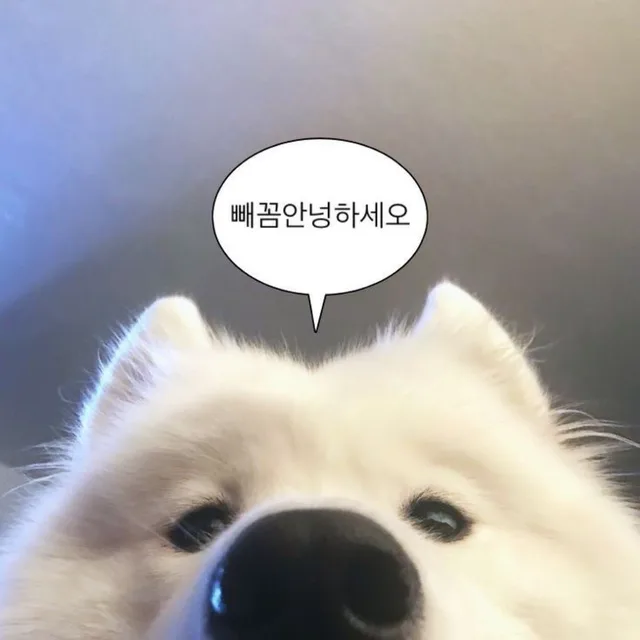 차슈메론빵