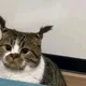 규룍쇽