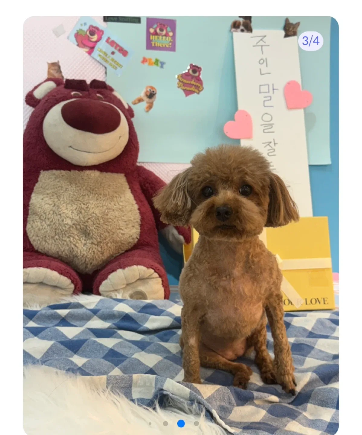 하얀이천사