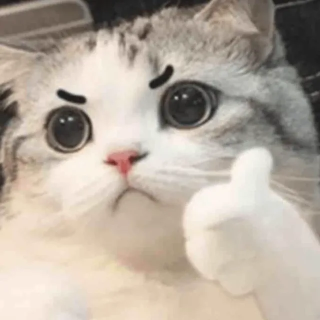 냥냥