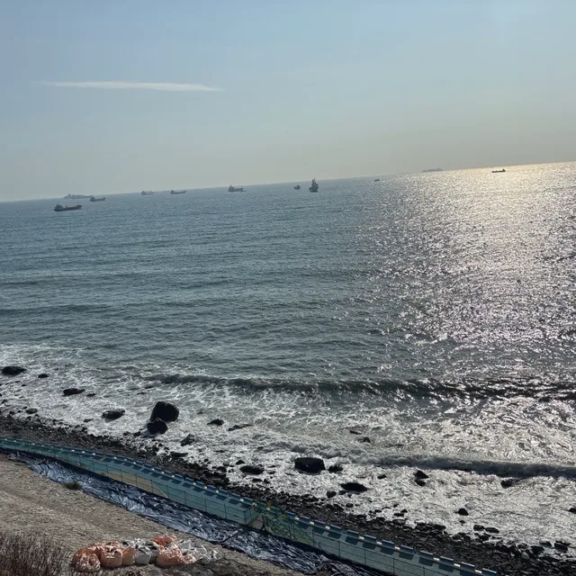 달빛요정