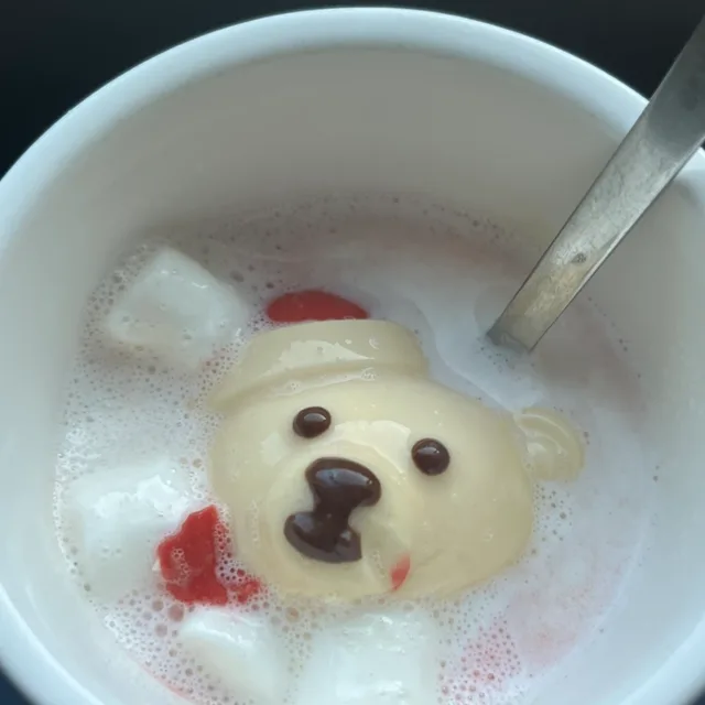 둥이