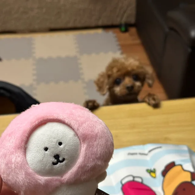 말랑복슝
