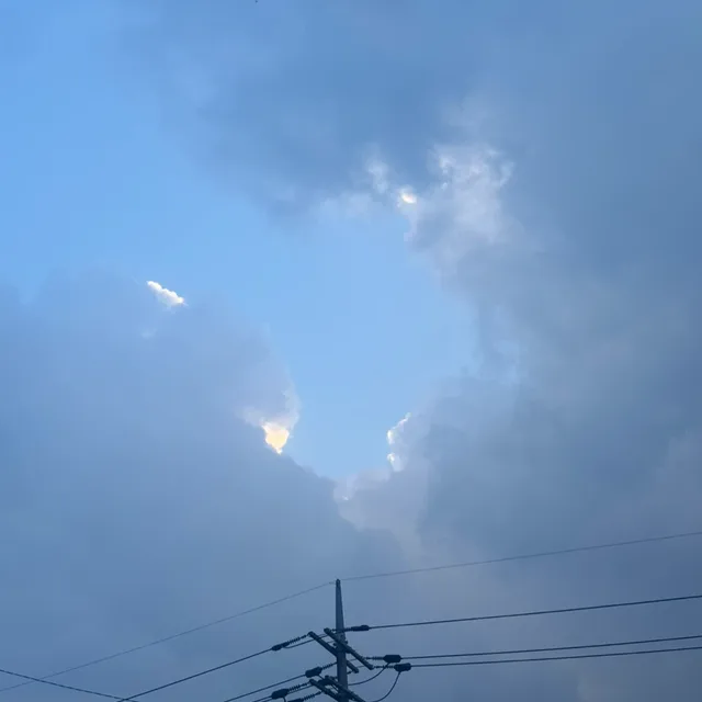 당근메론쥬스