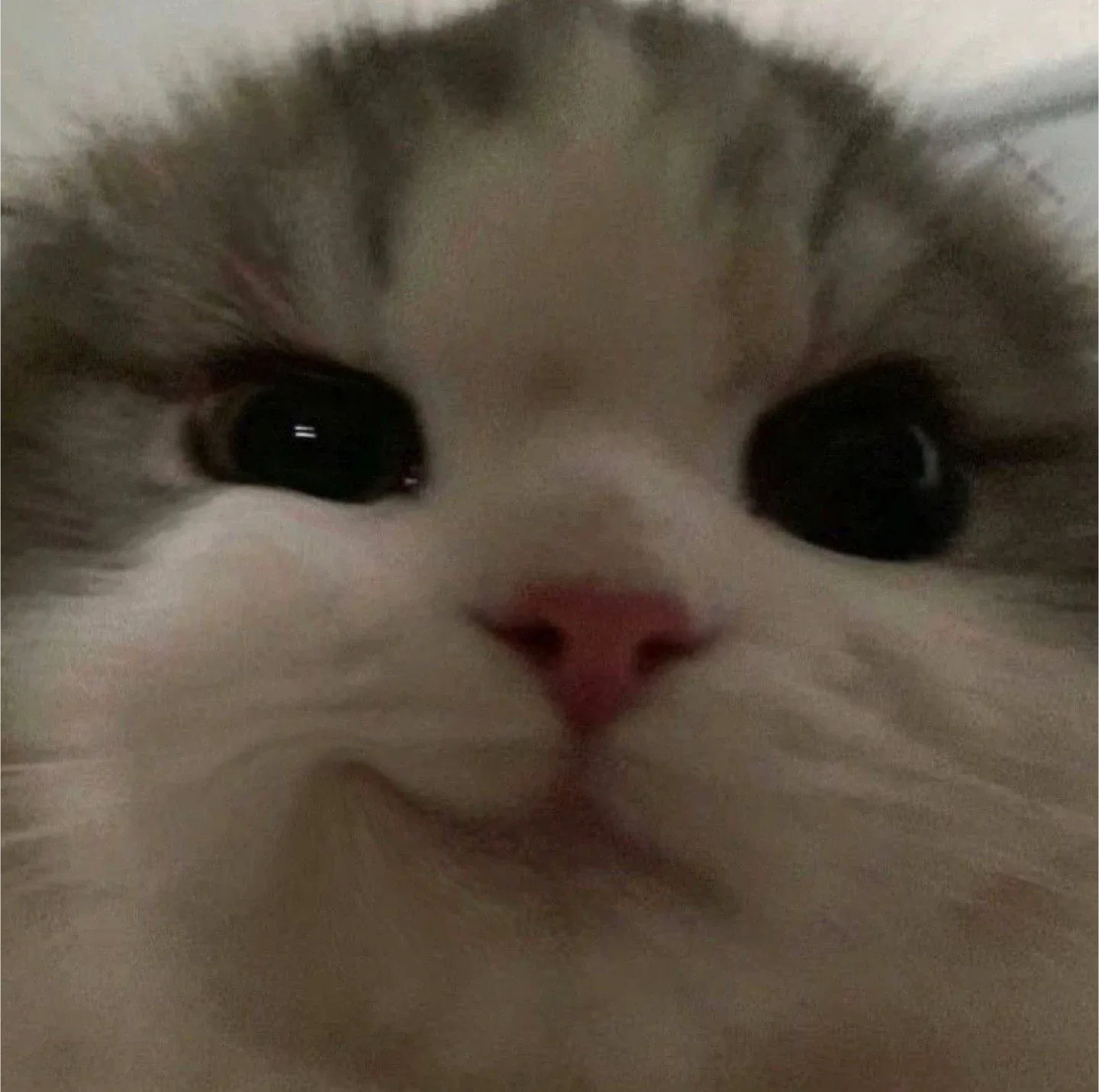 낰낰