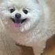 서이니