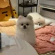 쪙2