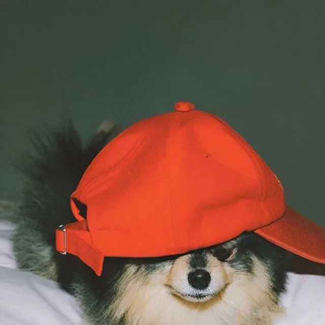 qkqhqjtm