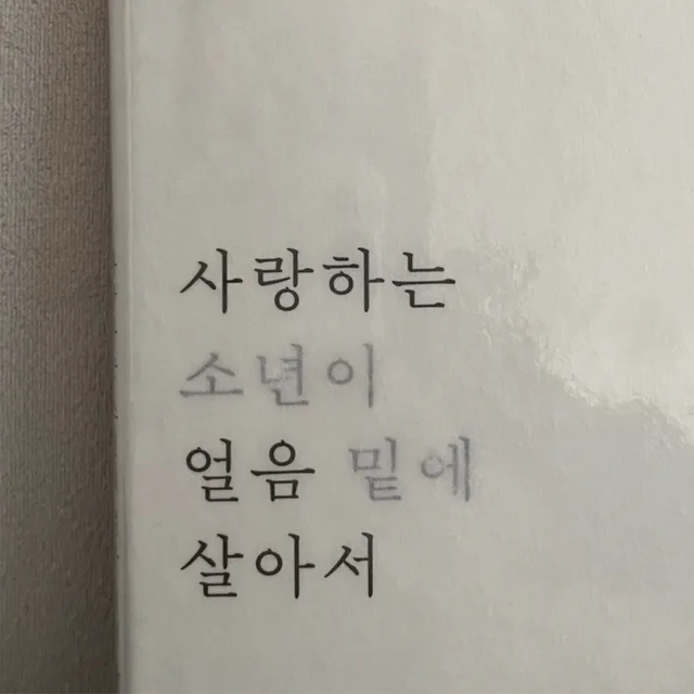 내가대장이야