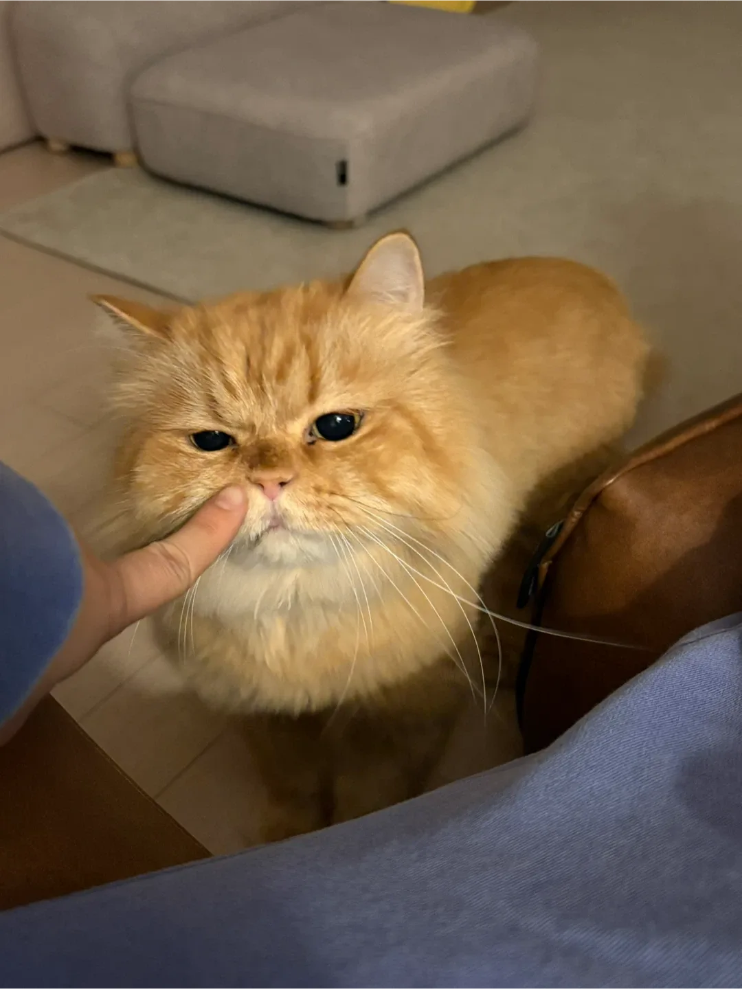 당근맘