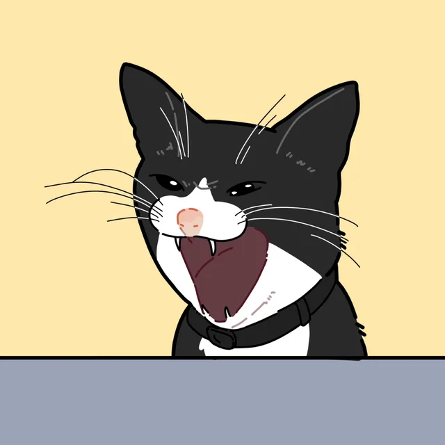 먼지