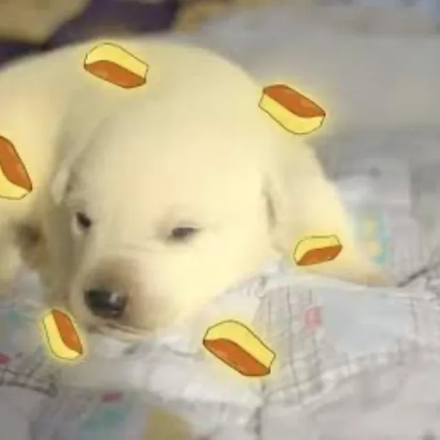 카스텔라강아지