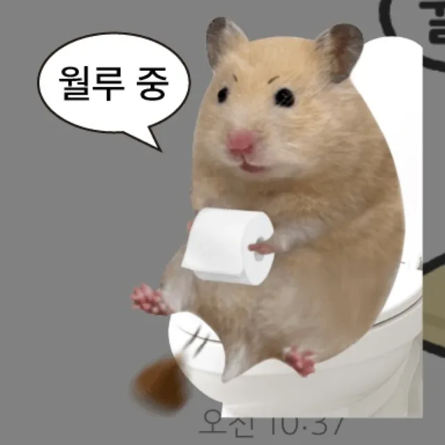 딩밍뽀