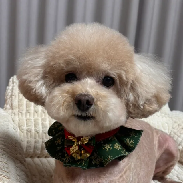 몽실멍실