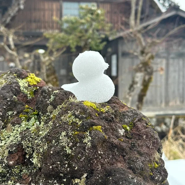 꽉꽉