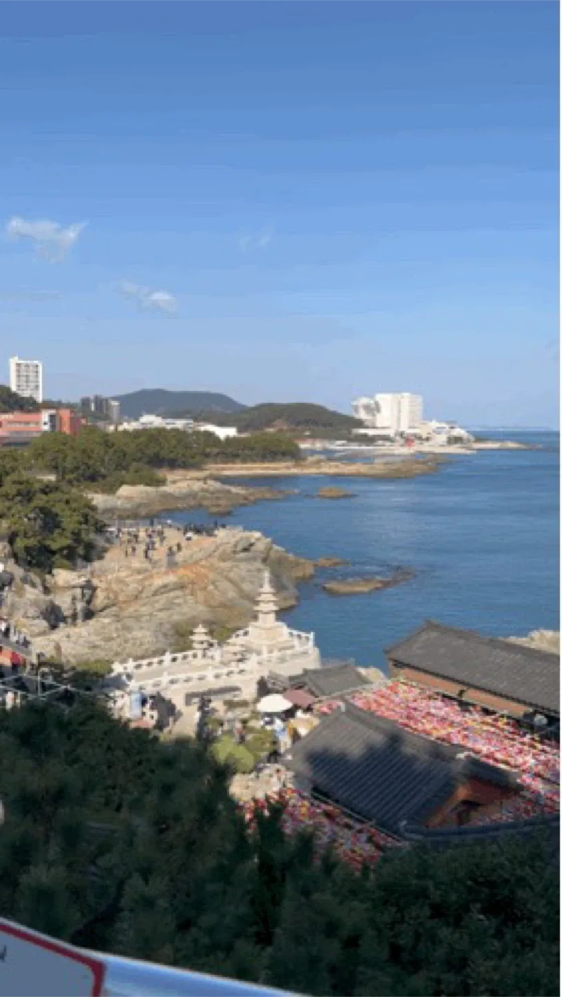 논노노
