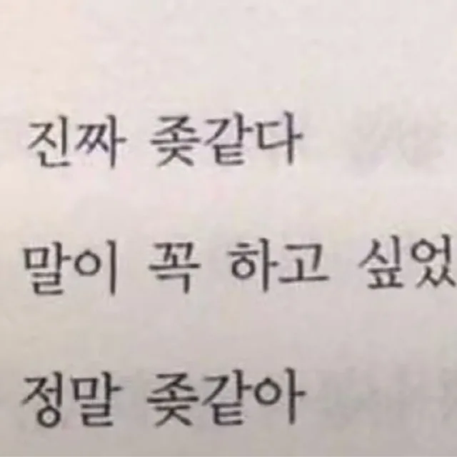 진짜제발그만해라