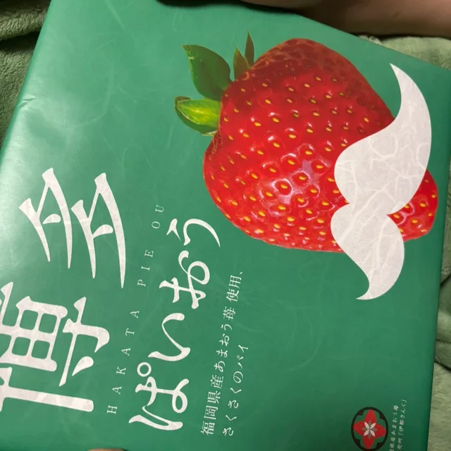 일장춘몽