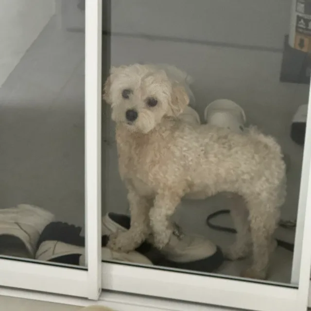 당균당균