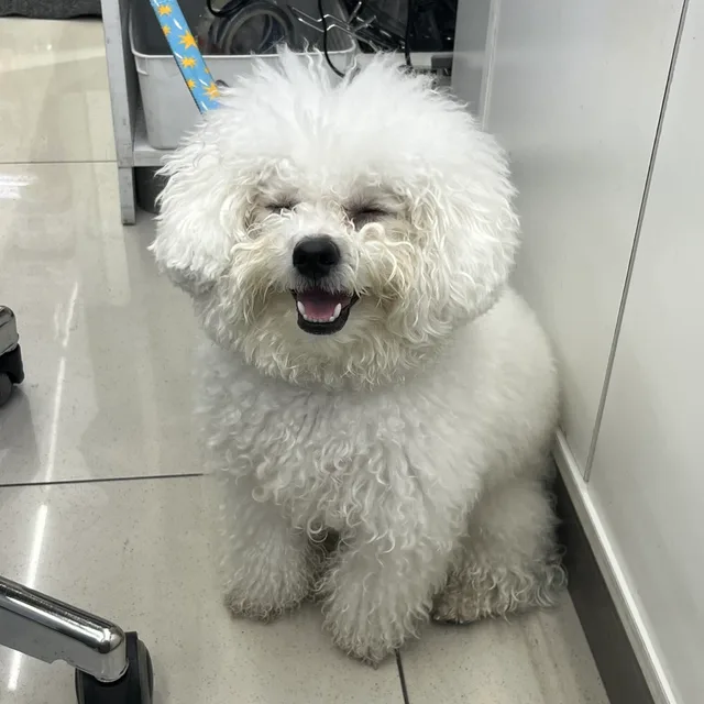 우주