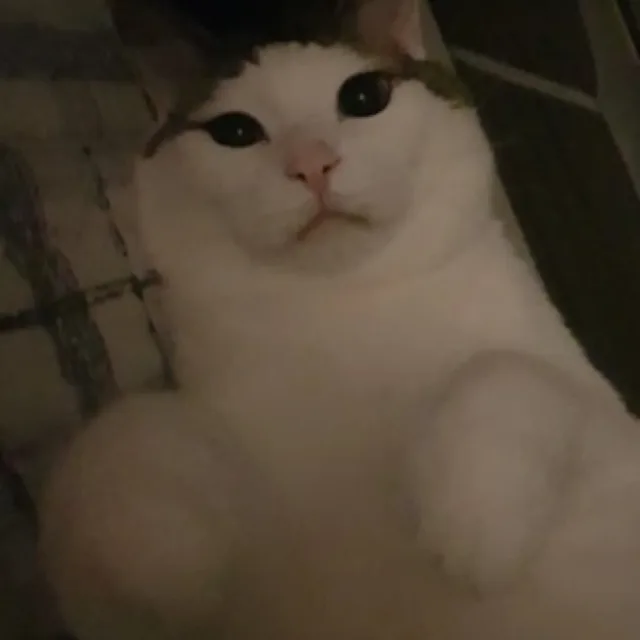 숮퐄
