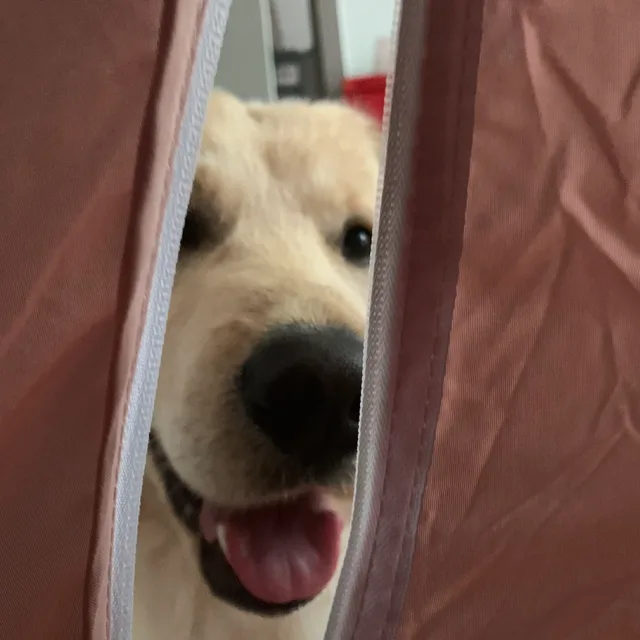 히로링
