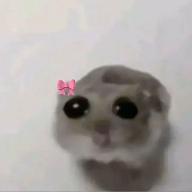 집가고싶다