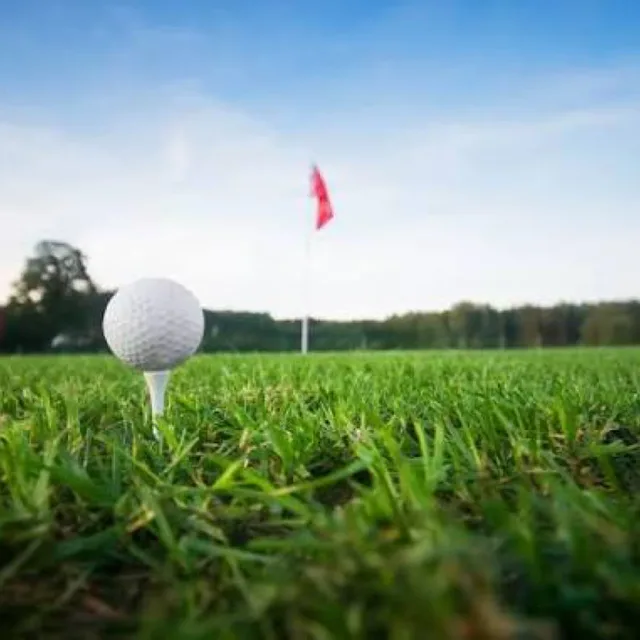 GolfFixKr