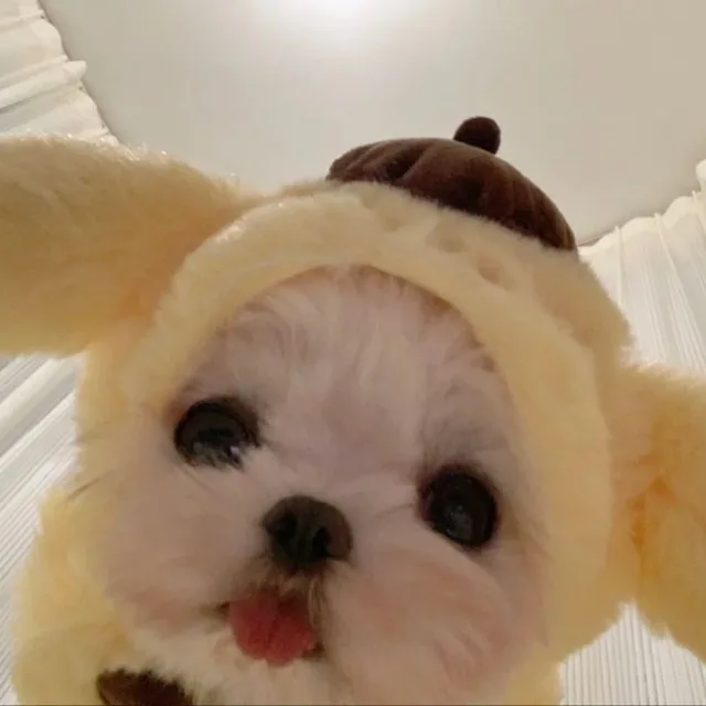 이나도르마무도르마무