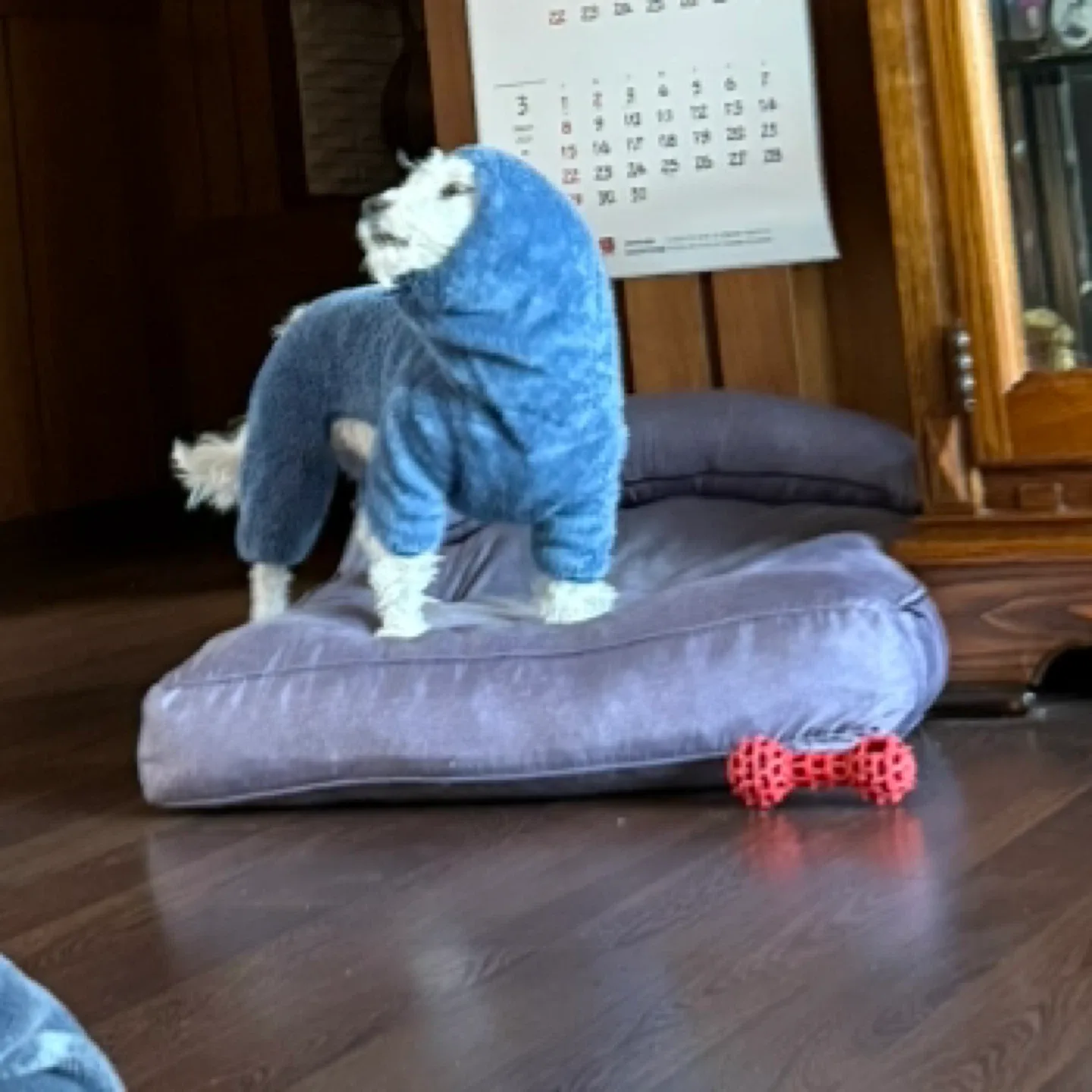 고기메이트
