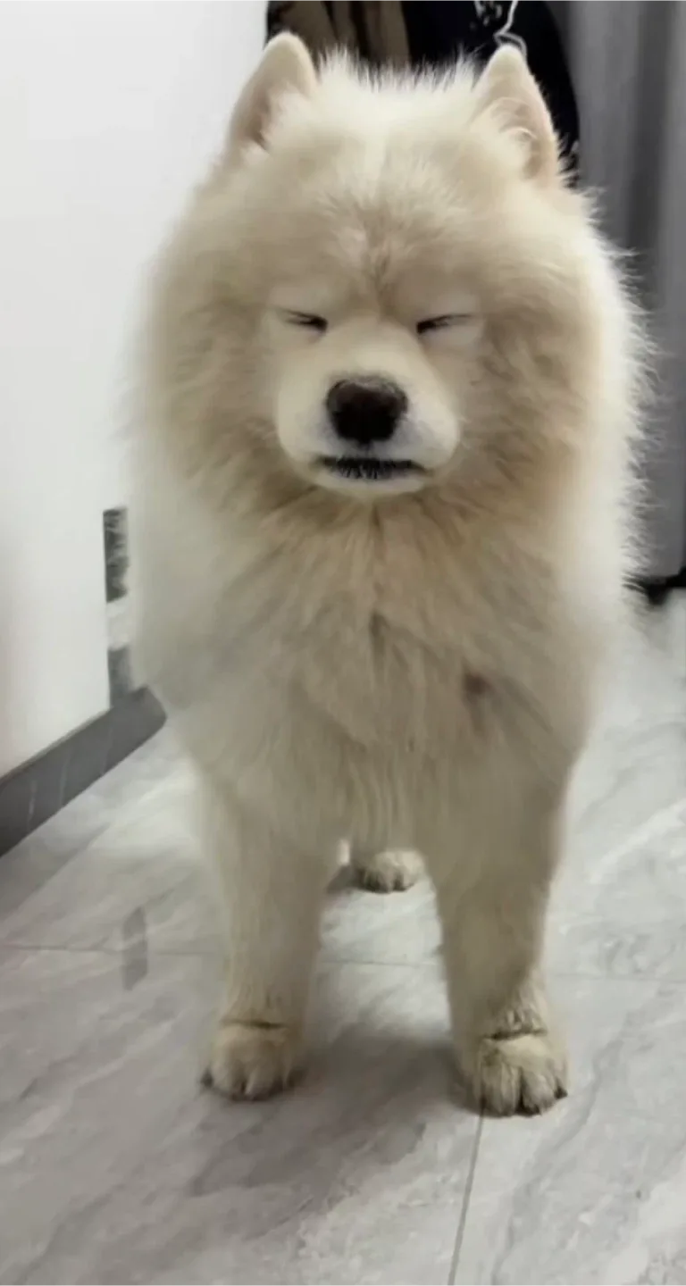 매너온도로말해요