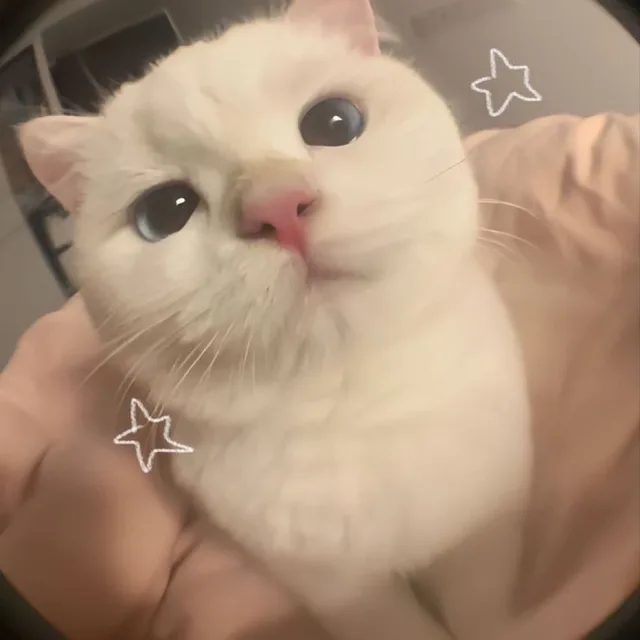 앵리