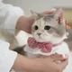 으아아