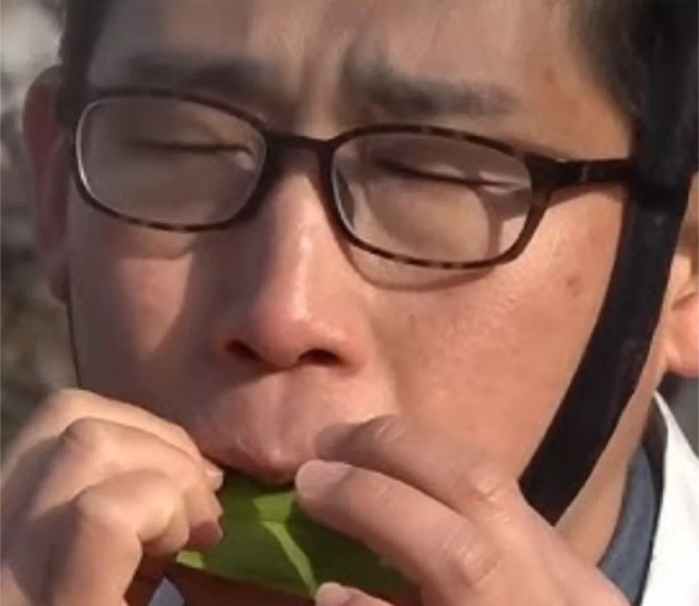 풀피리고수