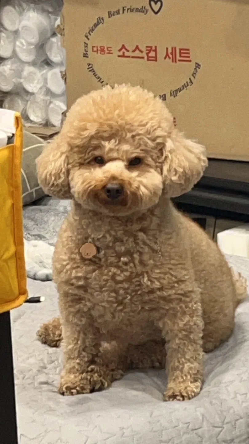호두콩