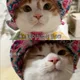 개편한세상
