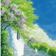 당근부자