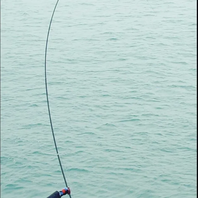 밤바