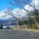 복희