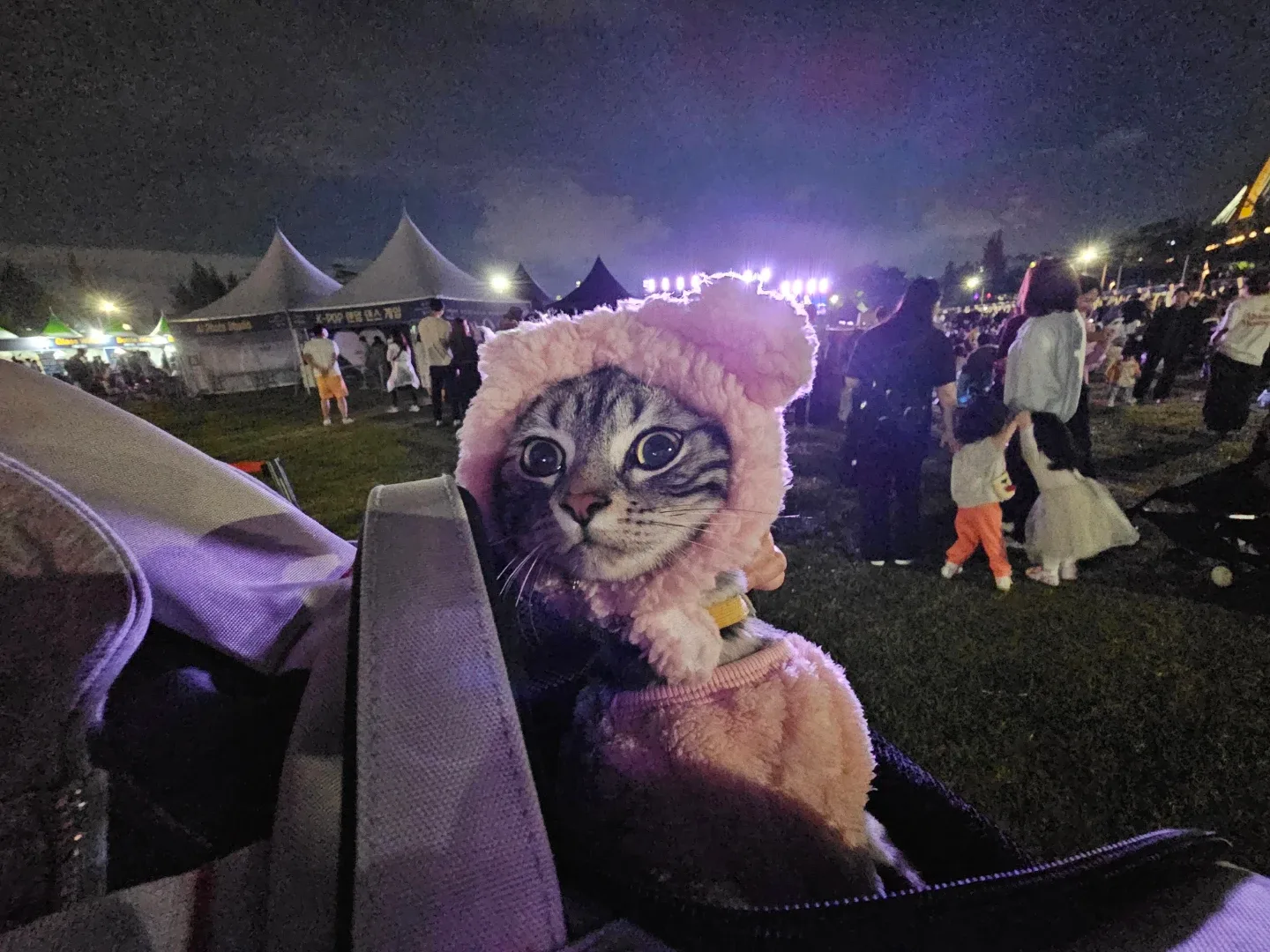 얼음