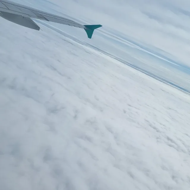 크랙