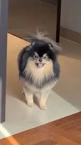 둘이엄마