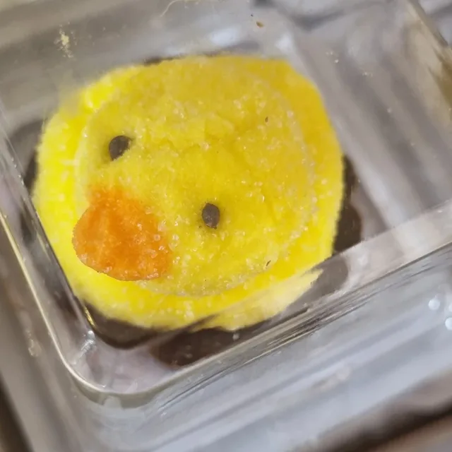 오리