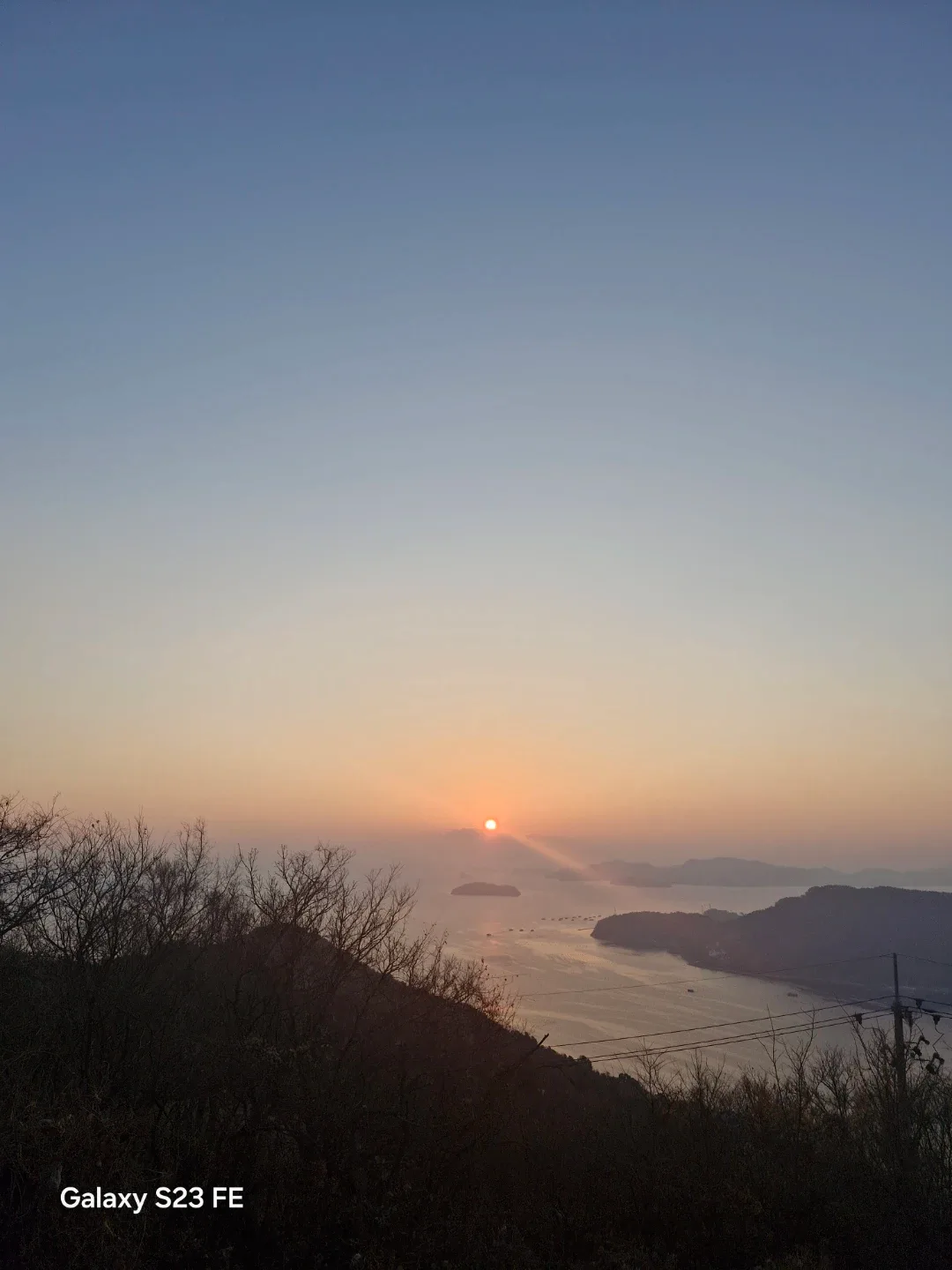 열심당근