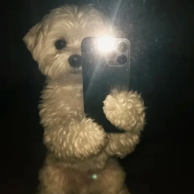 도두봉