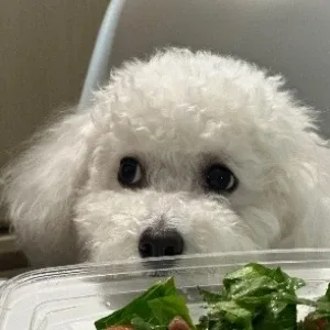 뭉이맘
