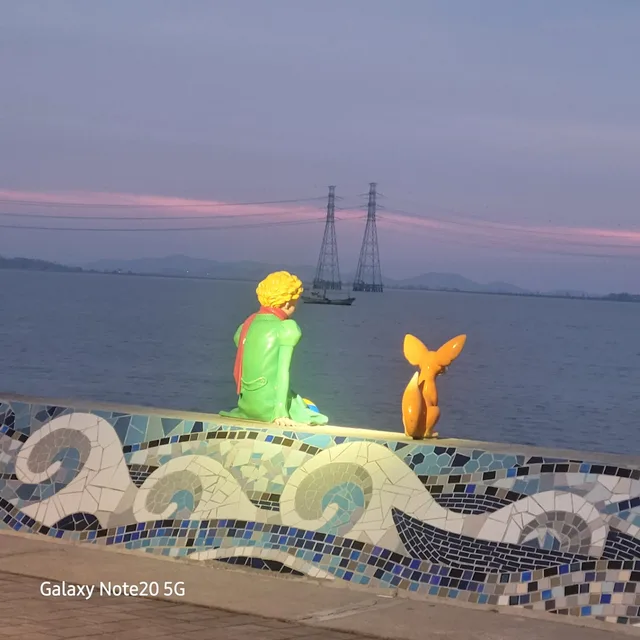 당근조아요