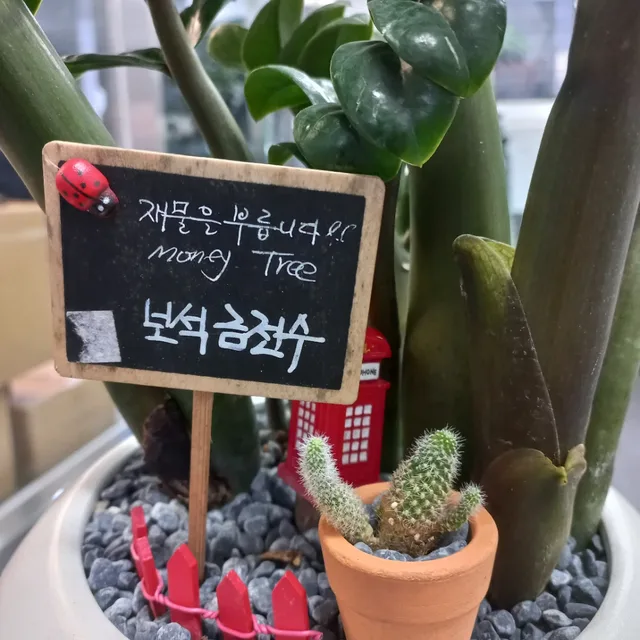 우리동네슈크림