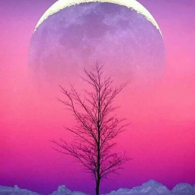 서울여자