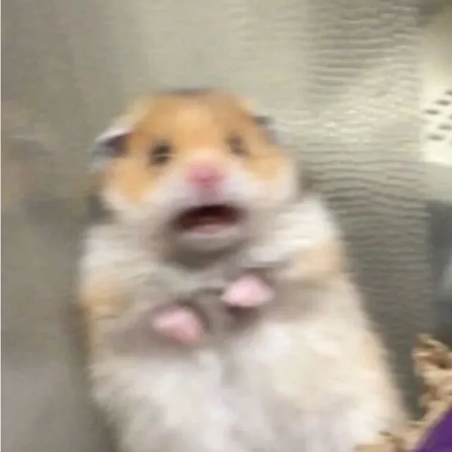 기역님